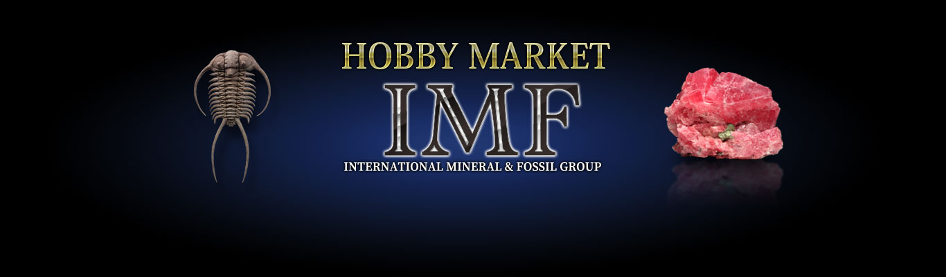 INTERNATIONAL MINERAL & FOSSIL GROUP