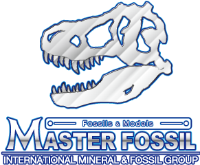 MASTER FOSSIL